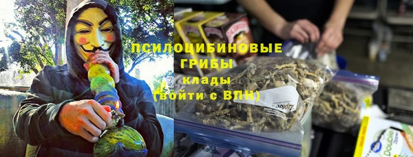 тгк Ростов