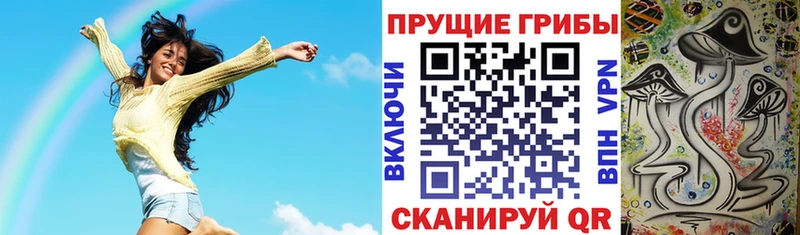 Псилоцибиновые грибы Magic Shrooms где купить наркоту Москва