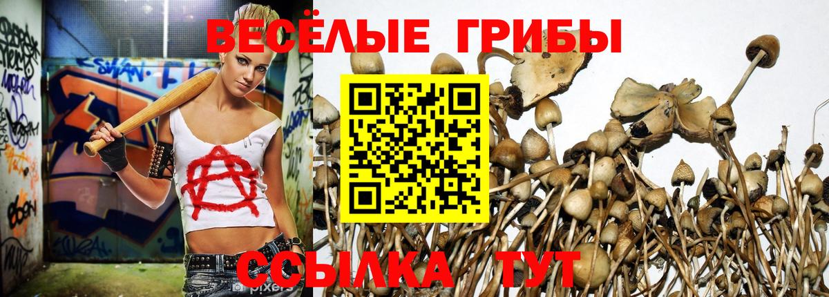 Галлюциногенные грибы ЛСД  Вход с VPN  Москва 