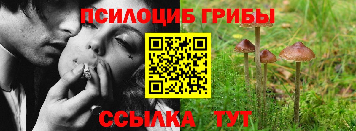 Псилоцибиновые грибы GOLDEN TEACHER Москва